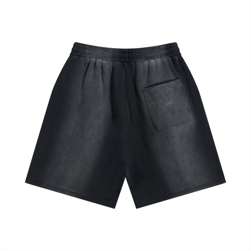 LW - Destroyed Litty Shorts