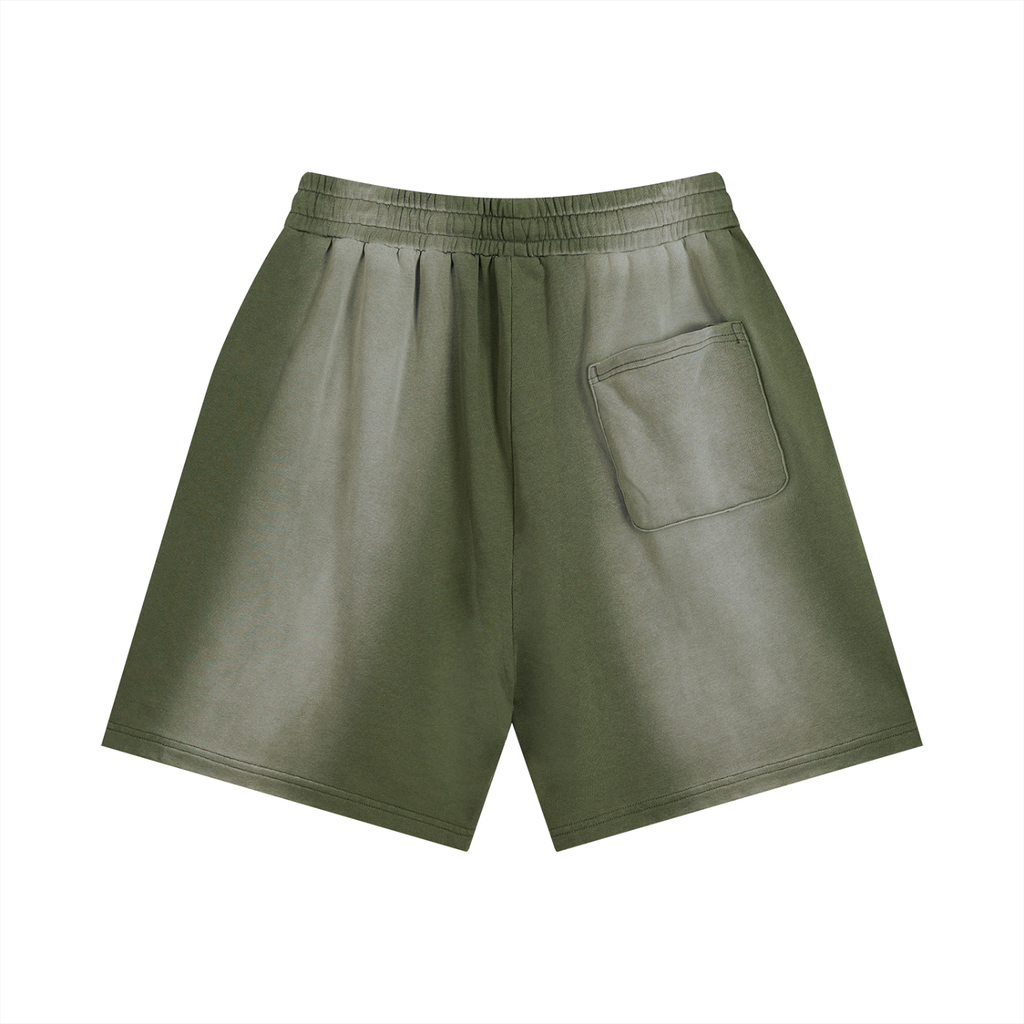 LW - Destroyed Litty Shorts